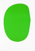 Green No. IV.4 by Ellsworth Kelly at Annandale Galleries
