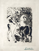 Picador et Taureau, from Le Carmen des Carmen by Pablo Picasso at Annandale Galleries
