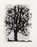 Untitled (Ref. No. 42 / Tree IV) by William Kentridge at Annandale Galleries