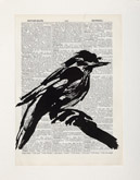 Untitled (Ref. No. 24 / Bird I) by William Kentridge at Annandale Galleries