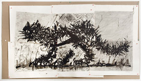 Scribble Cat by William Kentridge at Annandale Galleries