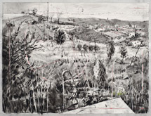 Untitled (Landscape) by William Kentridge at Annandale Galleries