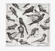 Bird Catching by William Kentridge at Annandale Galleries